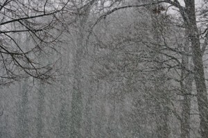 16 01 2016 Schneewanderung 008