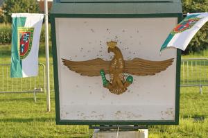07 08 2017 Schuetzenfest BSV 104