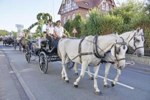 08 2018 BSV-Schuetzenfest-MO-095