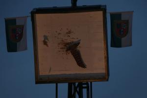 05 08 2023 Schuetzenfest 051